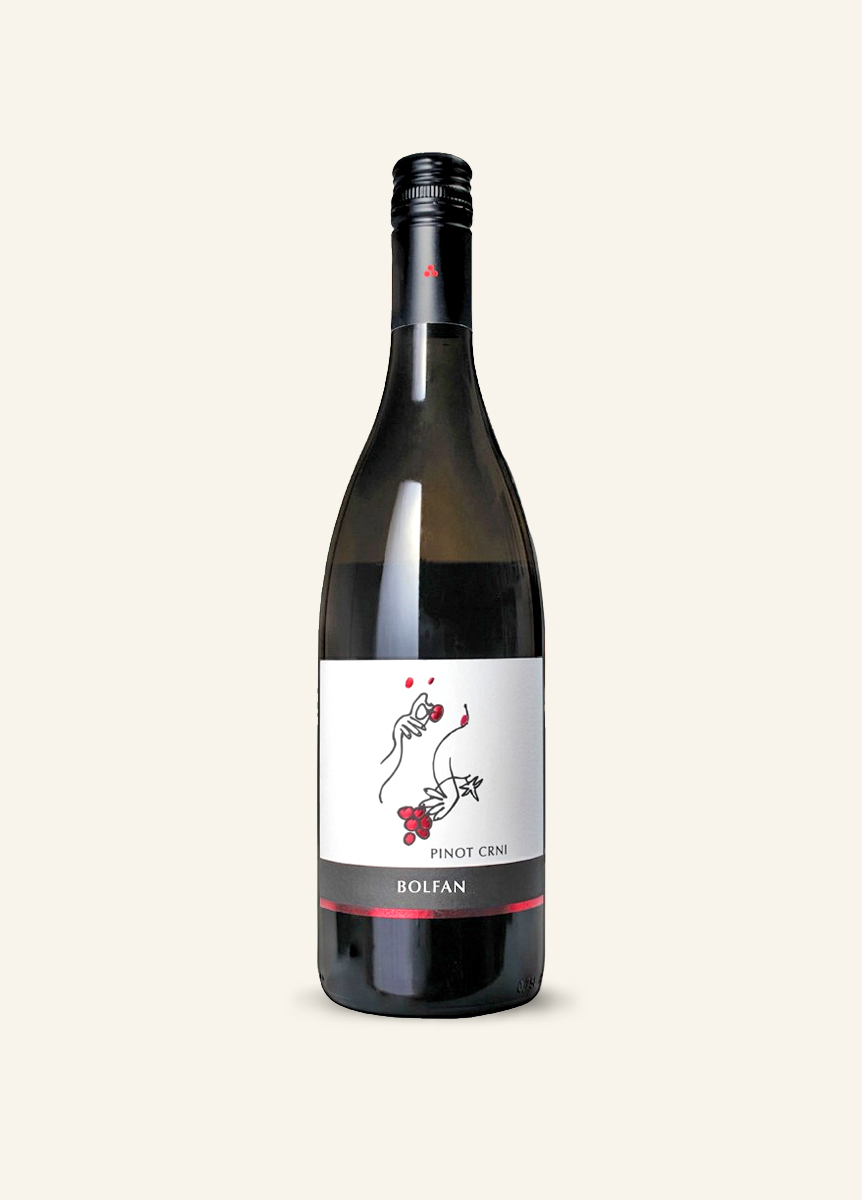 Pinot Crni Bolfan