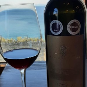 Edico team u Korta Katarine