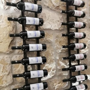 Edico team u Korta Katarine