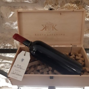 Edico team u Korta Katarine