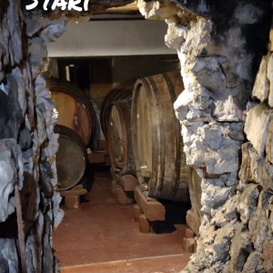 Team building na Pelješcu