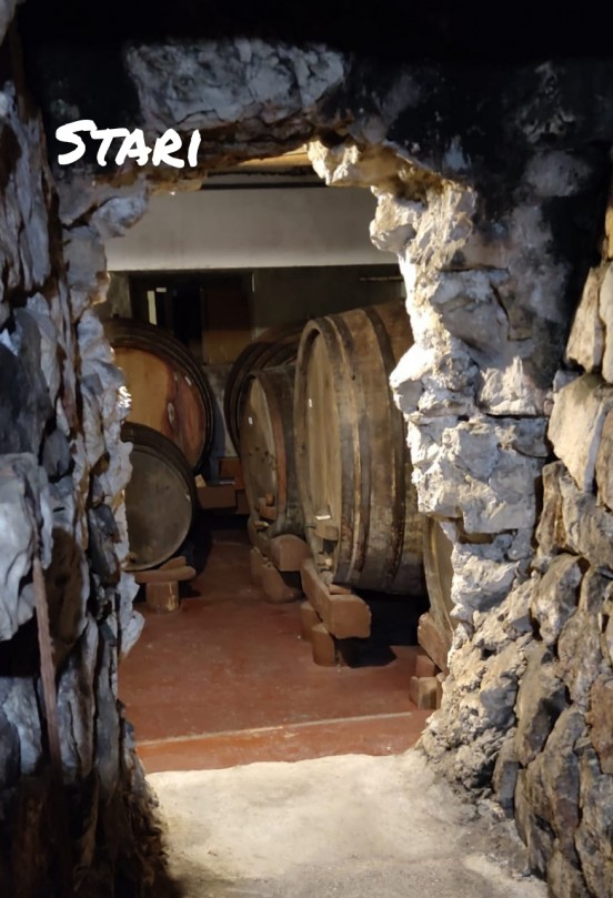 Team building na Pelješcu