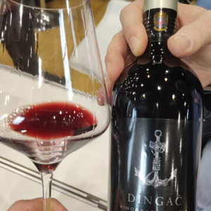 Lauba, wine fair