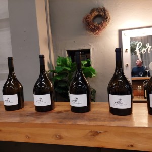 Promocija novog vina Coronice, Ottaviano