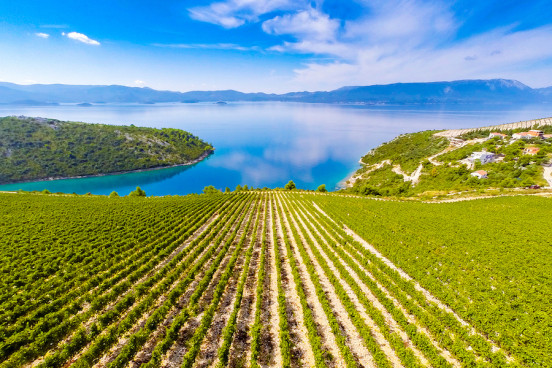 VINOGORJE KOMARNA