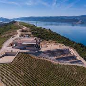 Komarna vineyard