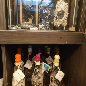 Vikend na Plešivici