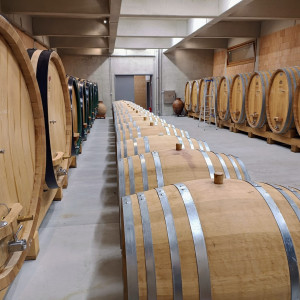 Vikend na Plešivici