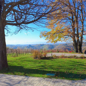 Vikend na Plešivici