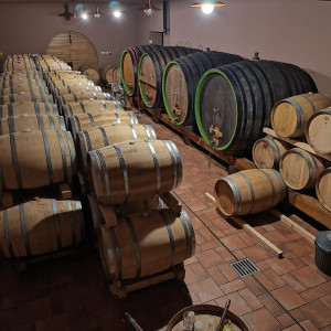 Vikend na Plešivici