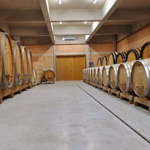 Vikend na Plešivici