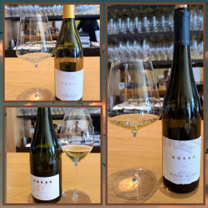 Vikend na Plešivici