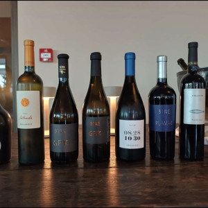 Vina Bire i Krajančić u restoranu Mediterranee