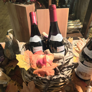 Mlado vino