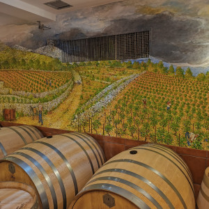 Posjet vinariji Korta Katarina